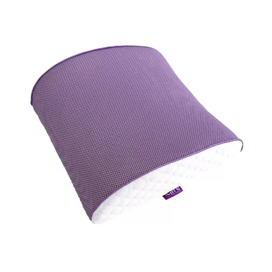 Back Cushion