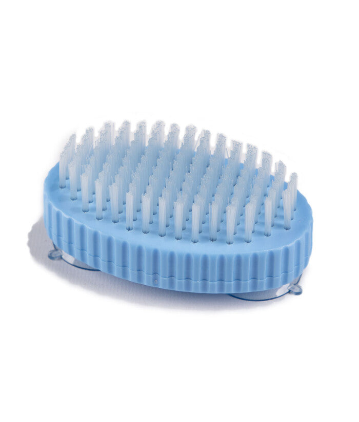 Nail or Denture Brush with Suction Caps