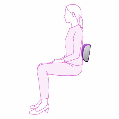 Back Cushion