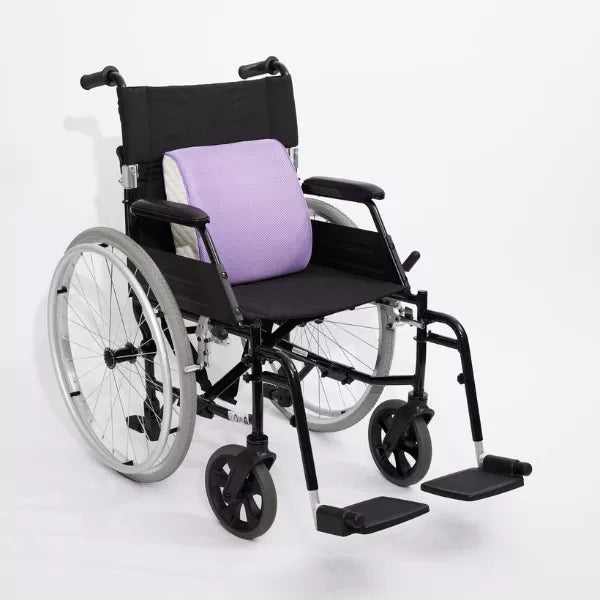 Back Cushion
