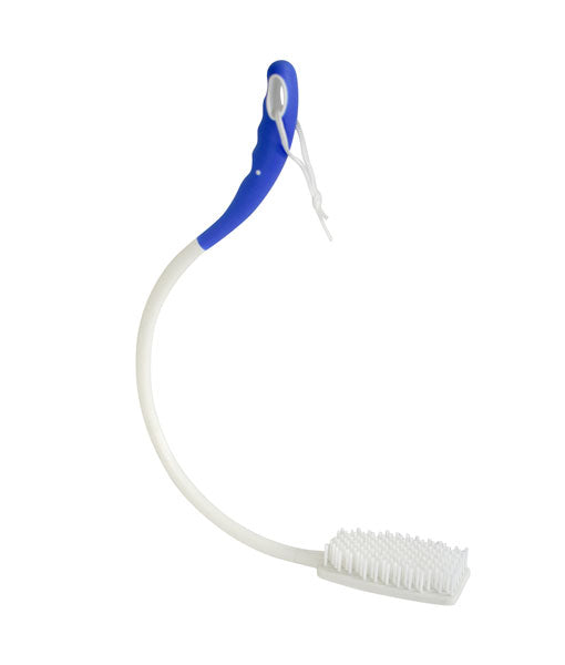 Dressing Long Handle Curved Bath Brush